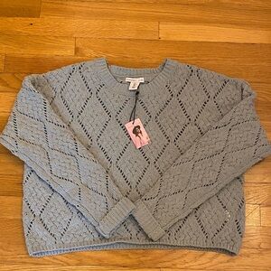 Sincerely Jules Light Sage Knit Sweater